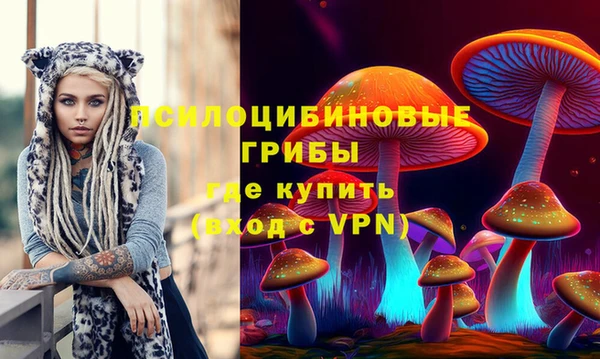 ешки Балахна