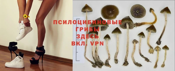 мдпв Балабаново
